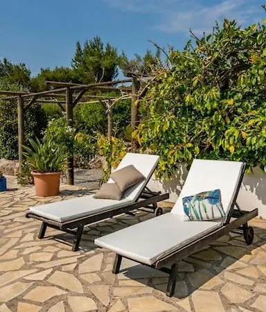 Paradis * San Antonio